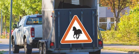 Gewerbsmässiger Pferdetransport Gewerbsmässiger Pferdetransport